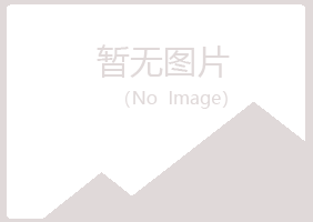 赤峰红山斑驳设计有限公司